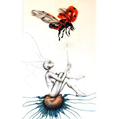 El Juego - Nim Obun... - Grafito y Pastel / Papel 64.5 x 40 cm