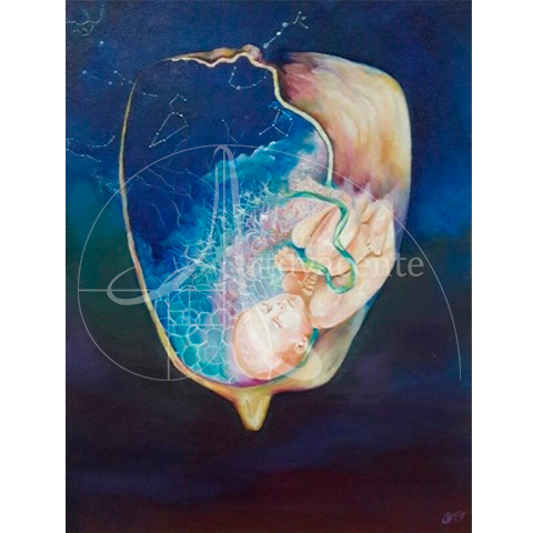 Anatomía de un alimento solar - Andrea Ceiba - Acrílico / Tela -  44 x 33 cm